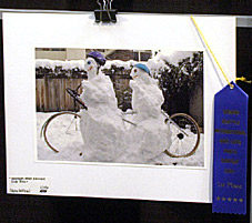 Award winning snow tandem